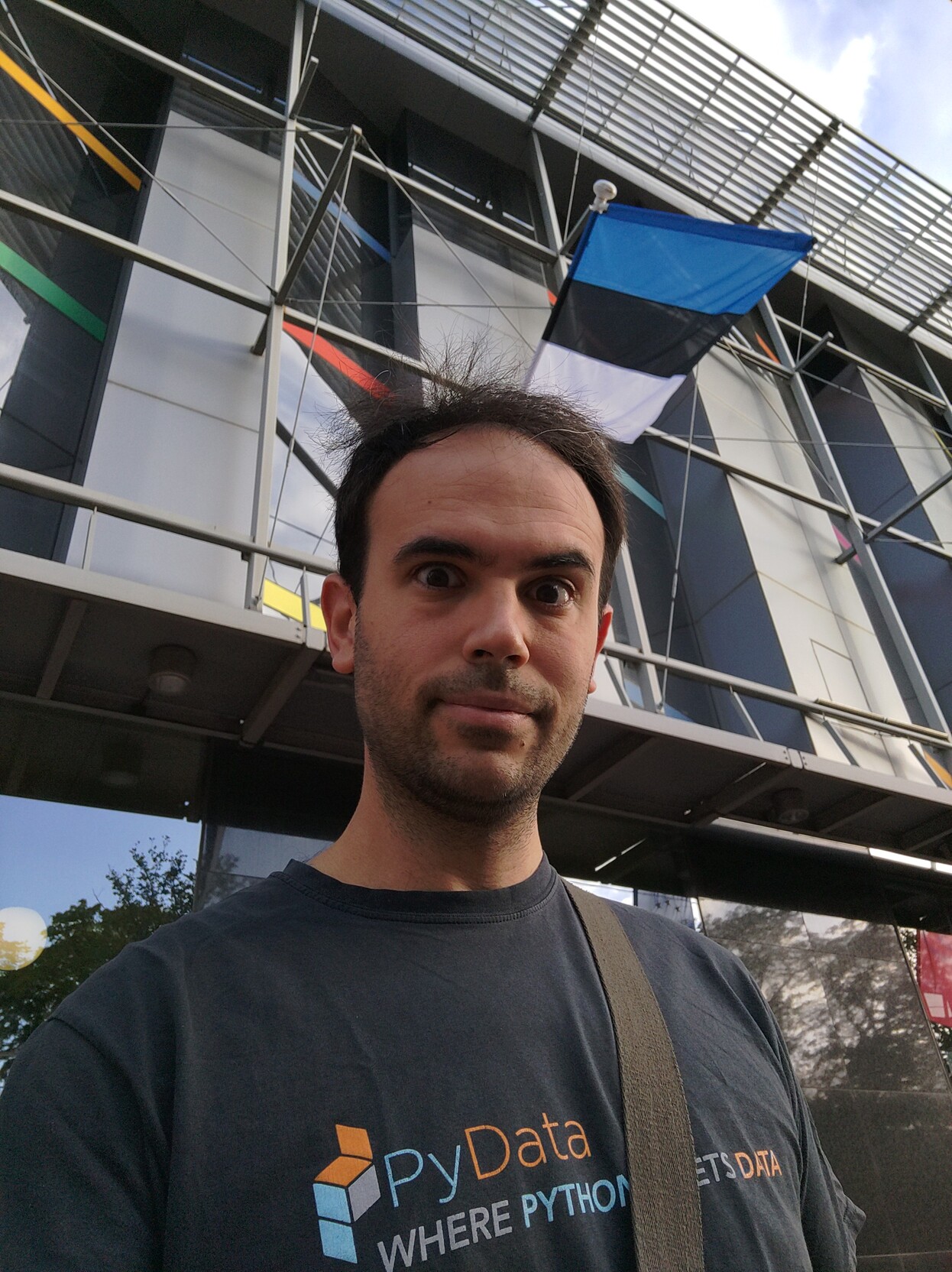 Photo of a man looking into the camera with a black t-shirt saying "PyData" and the Estonian flag on the background